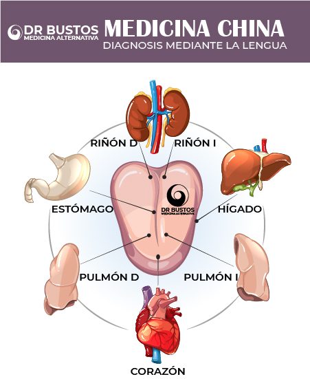 medicina funcional raiz medicina funcional bogota citas medicina funcional medicina funcional tratamientos tratamientos medicina funcional tratamiento medicina funcional bogota medicina funcional tratamiento bogota medicina alternativa bogota batidos y smoothies guia nutricion consciente