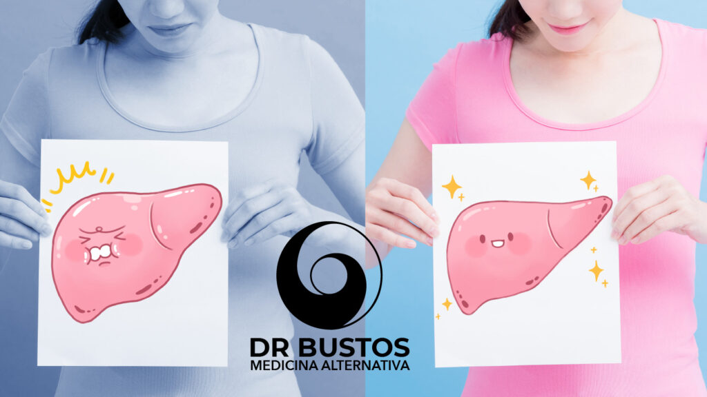 higado graso colesterol trigliceridos altos quelacion limpieza arterial barrido arterial tratamiento higado graso bogota higado graso bogota higado bueno